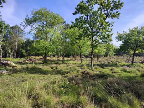 [Mission Nature] Au Bois des Communes