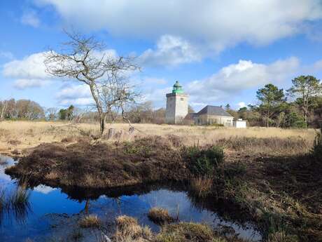 [Balade Nature] Le Cap d'Ailly en hibernation