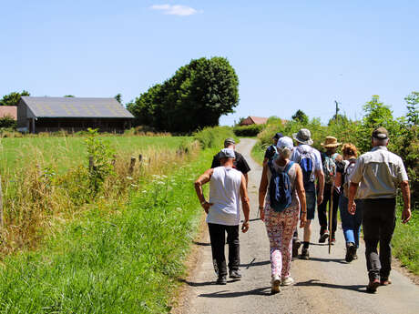 Randonnée à Gaillefontaine
