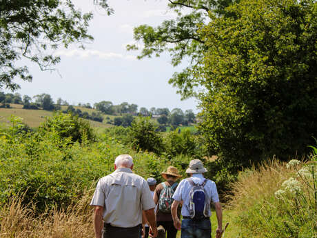 Randonnée à Gaillefontaine