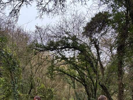 Randonnée "Chasse à la photo"