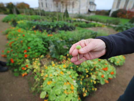 Conseils de jardinage