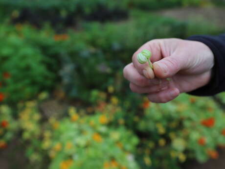 Atelier adultes : soigner le potager au naturel