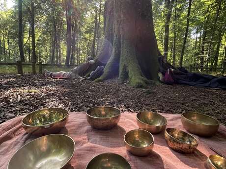[Bien-être] Bains sonores en forêt