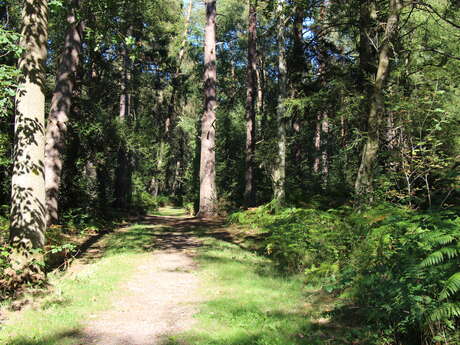 Les tout-petits dans la nature