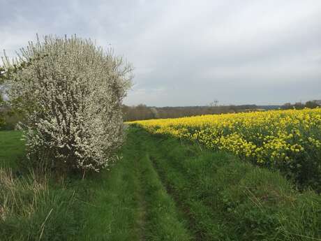 Les Coquelicots à VTT