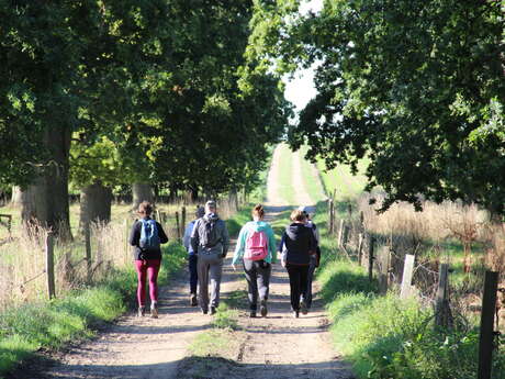 Randonnée pédestre " Vive le printemps au jardin !"