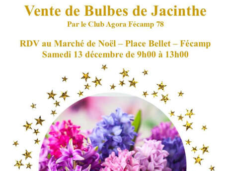 Vente de bulbes de jacinthe