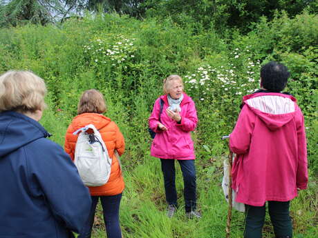 Sortie nature avec Plantes et Fruits Brayons