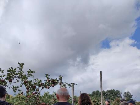 Visite quizz au Verger de Beaunay