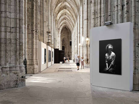 Courant d’art 2025//Ivan Martel - Abbatiale Saint-Ouen de Rouen