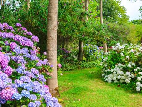 Jardin Shamrock