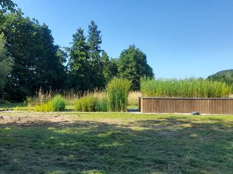 Découverte d'un jardin d'assainissement