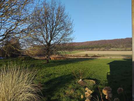 Découverte d'un jardin d'assainissement