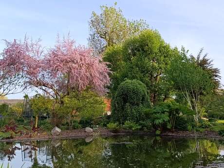 Rendez-vous aux jardins - Jardin Scie'lvain