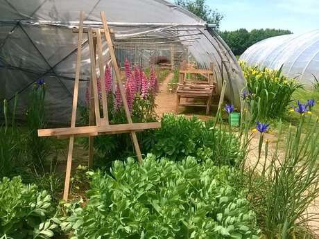 Visite des Jardins Partagés
