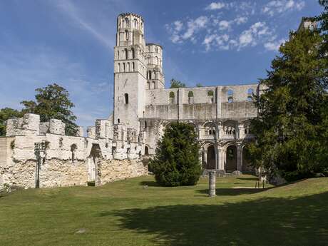 Abbaye et parc de Jumièges