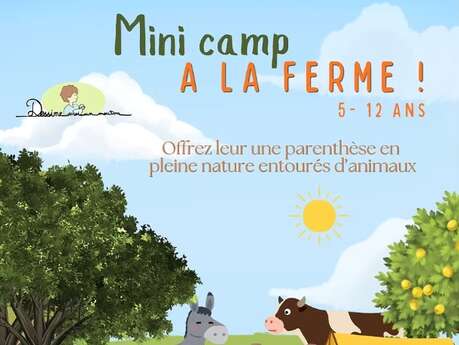 Mini Camp immersif à la ferme