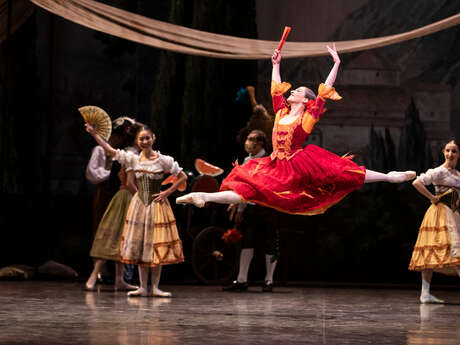 Diffusion du ballet "Don Quichotte" de Noureev par l'Opéra National de Paris