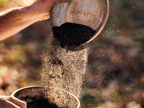 " INITIATION À LA REPRODUCTION DES SEMENCES POTAGÈRES - Chercher son autonomie semencière "