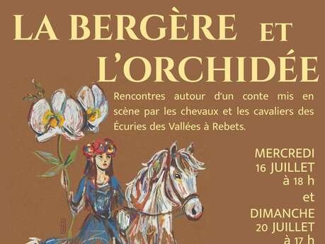 Spectacle équestre