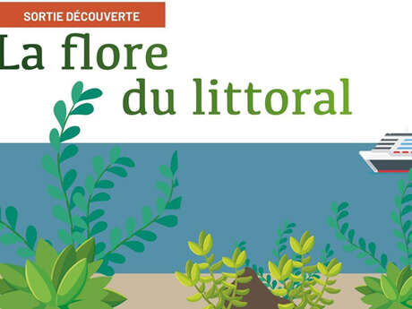 Sortie nature : "La flore du littoral"