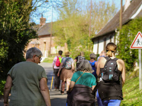 Randonnée à La Ferté Saint Samson