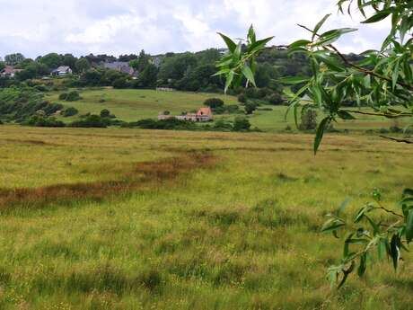 [Sortie Nature] Le vivant de la vallée de la Scie