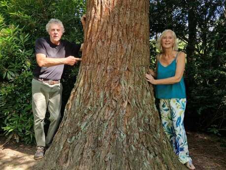 Visite clos des sequoias