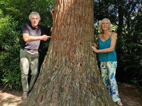 Visite clos des sequoias