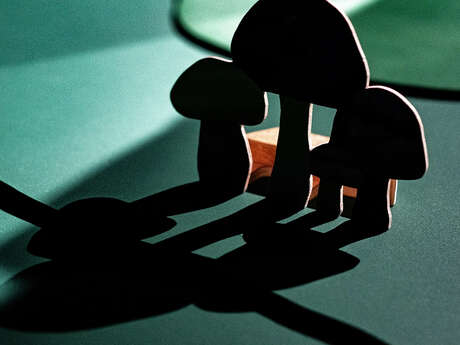 Le Silence des champignons - Tactus