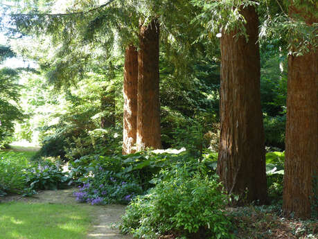 Visite clos des sequoias
