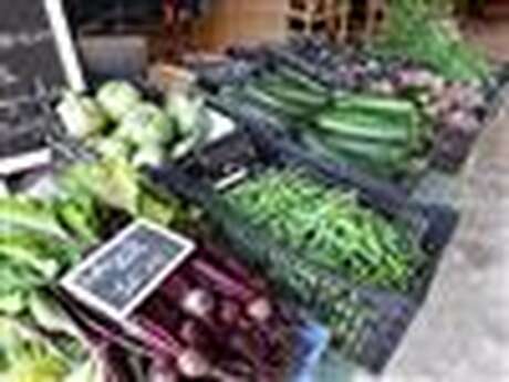 Mercredi savoir-faire : Visite de la ferme maraîchère le Clos Masure du P'tit Caux