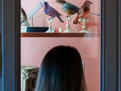 Visite famille et jeune public : "Les animaux du musée Flaubert et d'Histoire de la médecine"