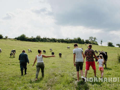 Visite d'une ferme en famille - La vache de Louvicamp