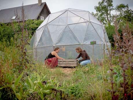 Les petits plus au potager aux Amandiers