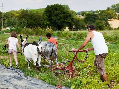 Les dimanches de l'autonomie au potager bio