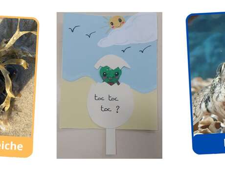 [Activité manuelle] De l'oeuf à l'Océan