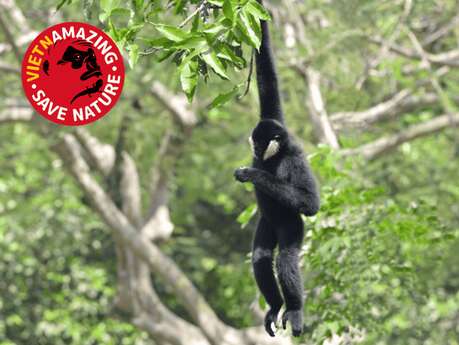 Médiation conservation EAZA -  Vietnamazing !
