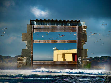 [Concert] Je veux parler des oiseaux