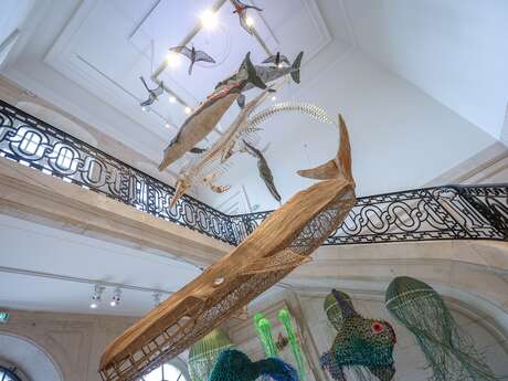 Muséum d'Histoire Naturelle