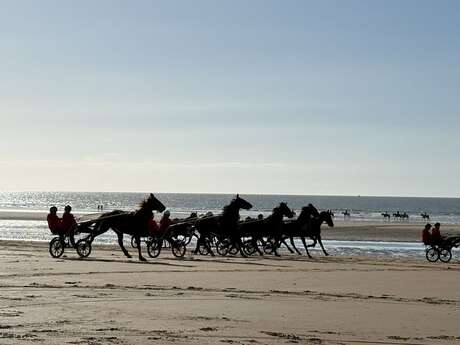 Normandy DMC - Recevoir en Normandie