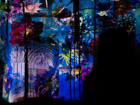 Monet, Lumières et Champagne