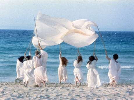 Ciné-Club - Maison des Arts