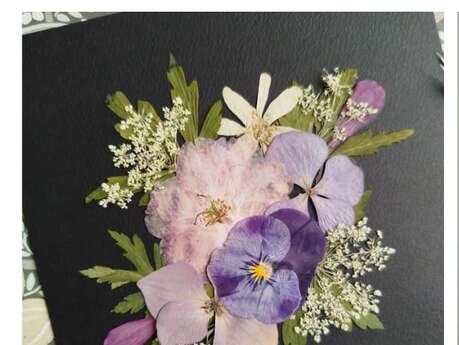Atelier herbier fleurs pressées