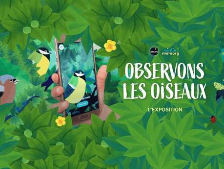 Exposition : Observons les oiseaux