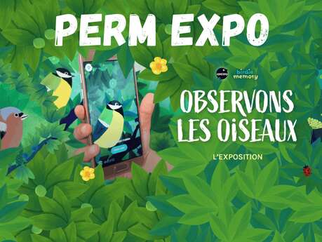 Perm' Expo Observons les oiseaux