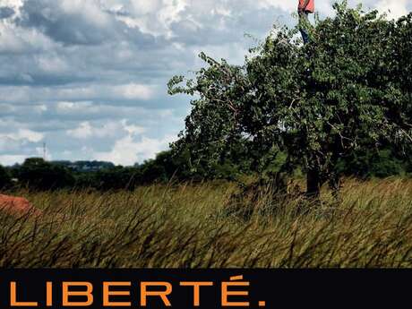 Printemps des poètes : Liberté, force vive, déployée