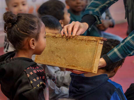 Sortie nature : Le secret des abeilles