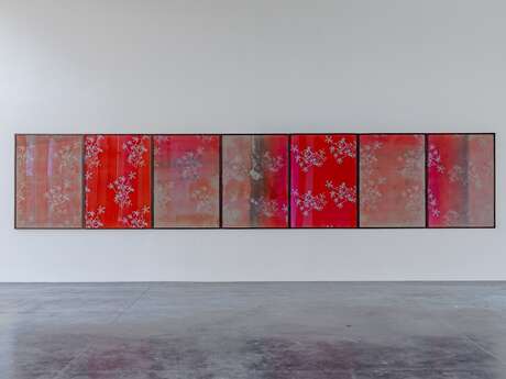 « La saison des collections » - Dessins